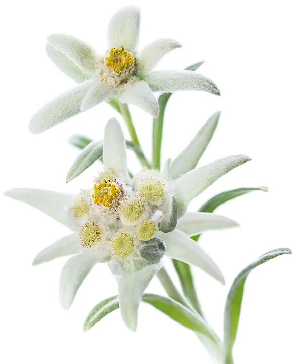 © DAV Sektion Schwaben