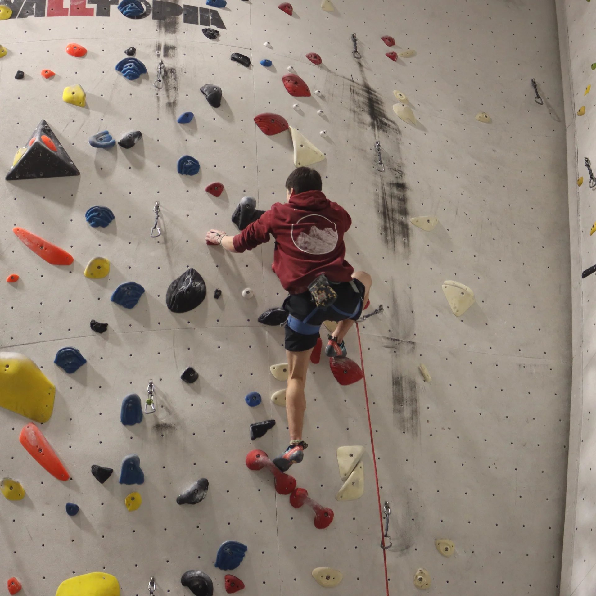 Jugendliche Person klettert an einer Kletterwand | © DAV Schwaben