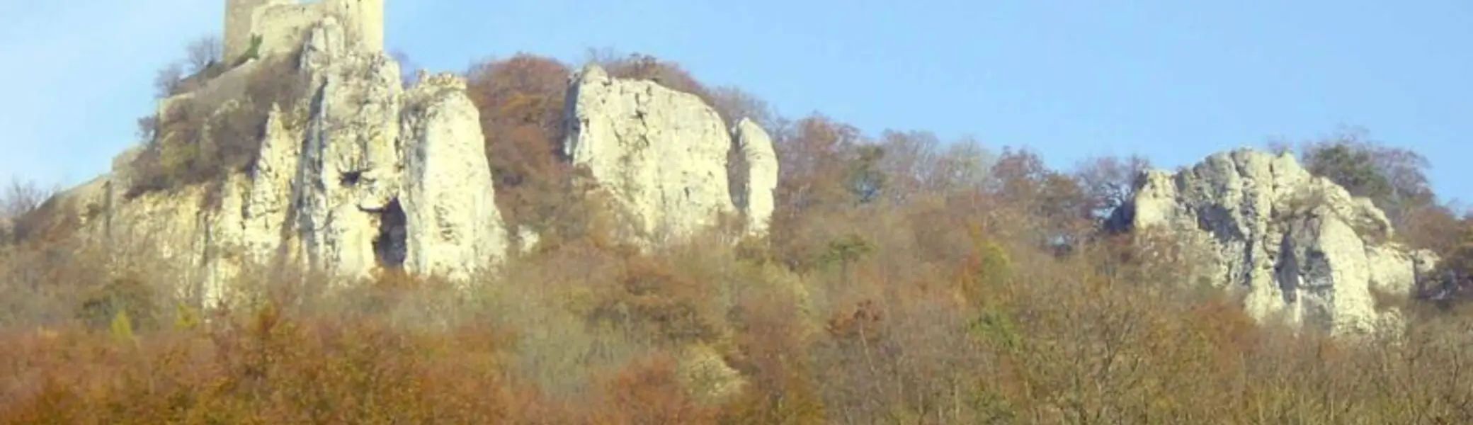 Kletterfels mit Wald drum herum | © Klaus Berghold