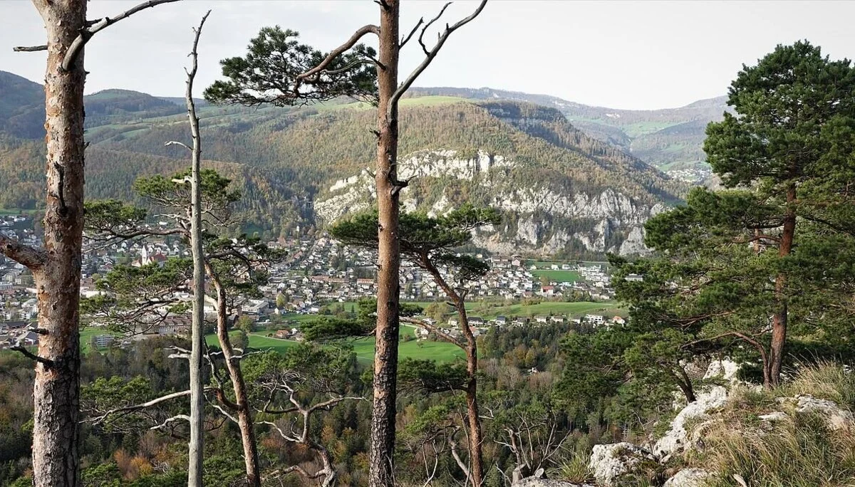 © Alpingruppe Ü40 DAV Sektion Schwaben