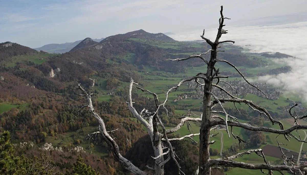 © Alpingruppe Ü40 DAV Sektion Schwaben