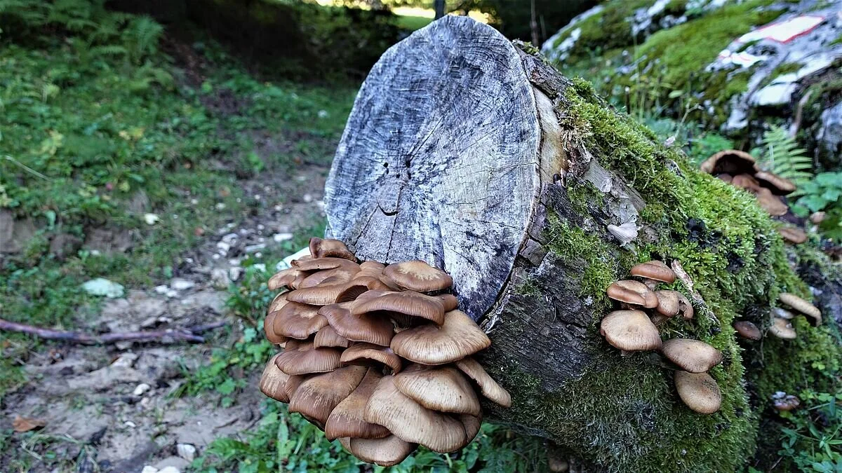 © Alpingruppe Ü40 DAV Sektion Schwaben