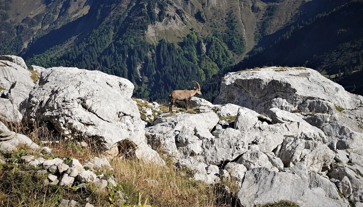 © Alpingruppe Ü40 DAV Sektion Schwaben