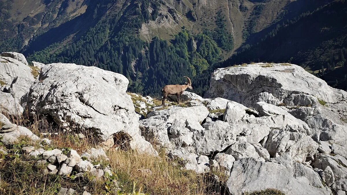 © Alpingruppe Ü40 DAV Sektion Schwaben