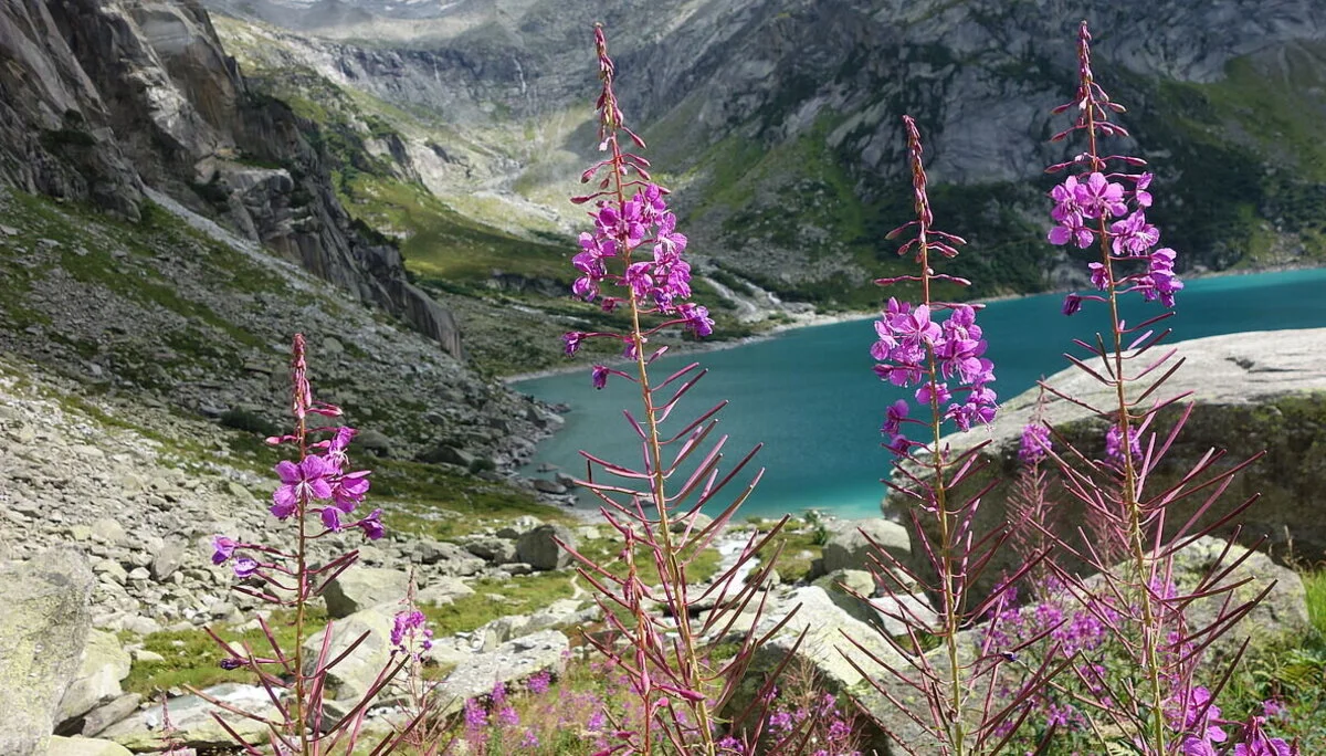 © Alpingruppe Ü40 DAV Sektion Schwaben