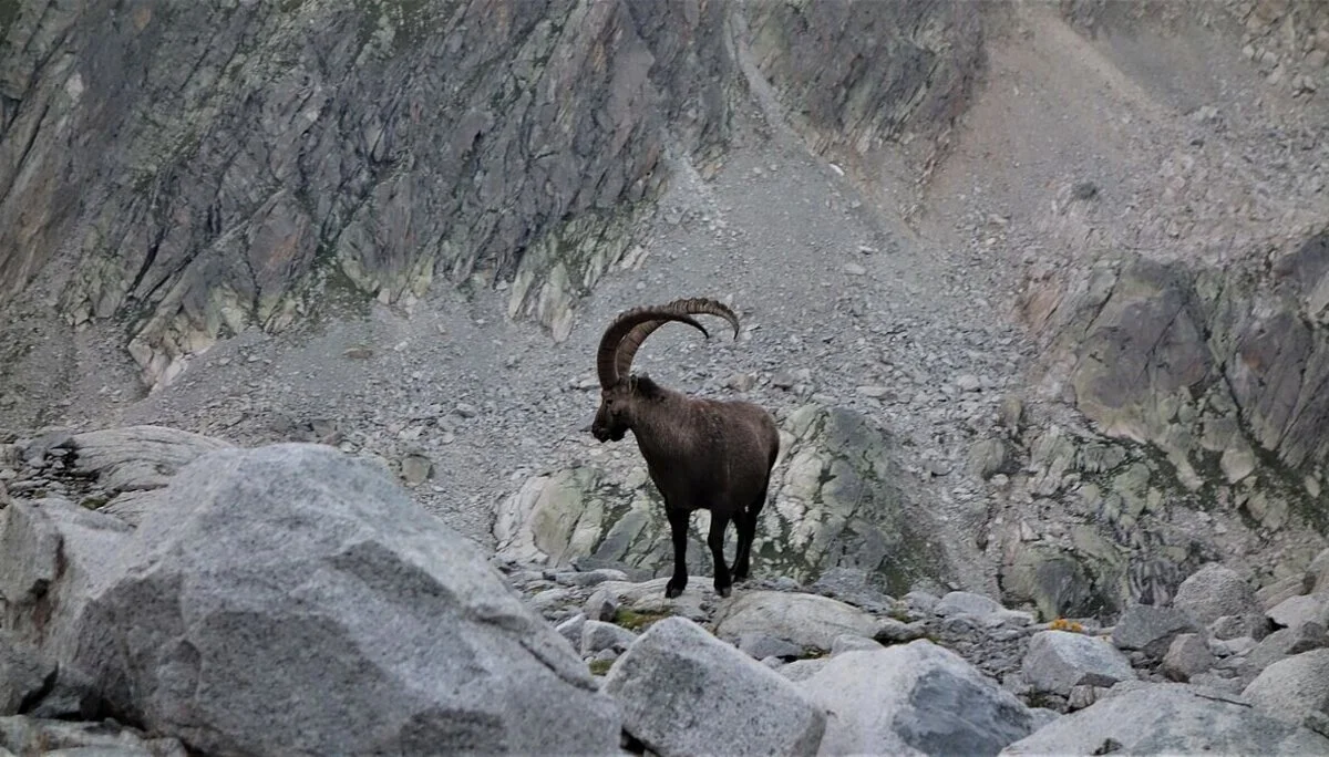 © Alpingruppe Ü40 DAV Sektion Schwaben