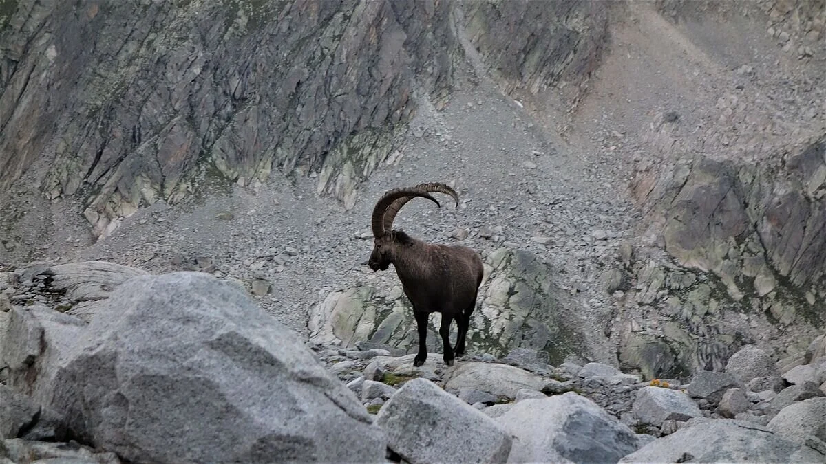 © Alpingruppe Ü40 DAV Sektion Schwaben