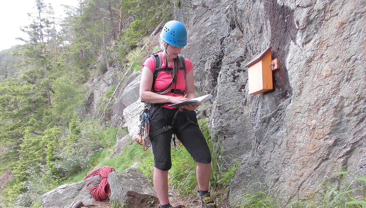 © Alpingruppe Ü40 DAV Sektion Schwaben