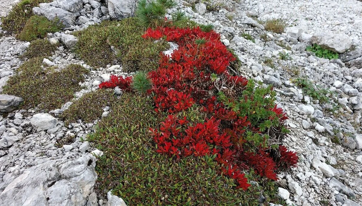 © Alpingruppe Ü40 DAV Sektion Schwaben