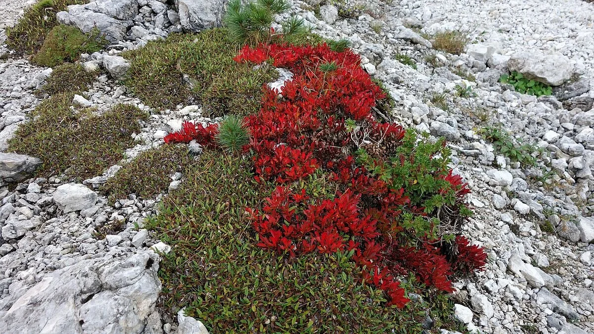 © Alpingruppe Ü40 DAV Sektion Schwaben
