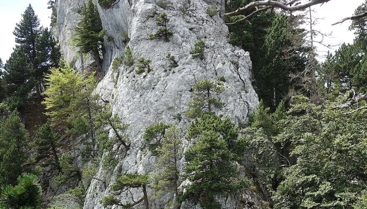 © Alpingruppe Ü40 DAV Sektion Schwaben