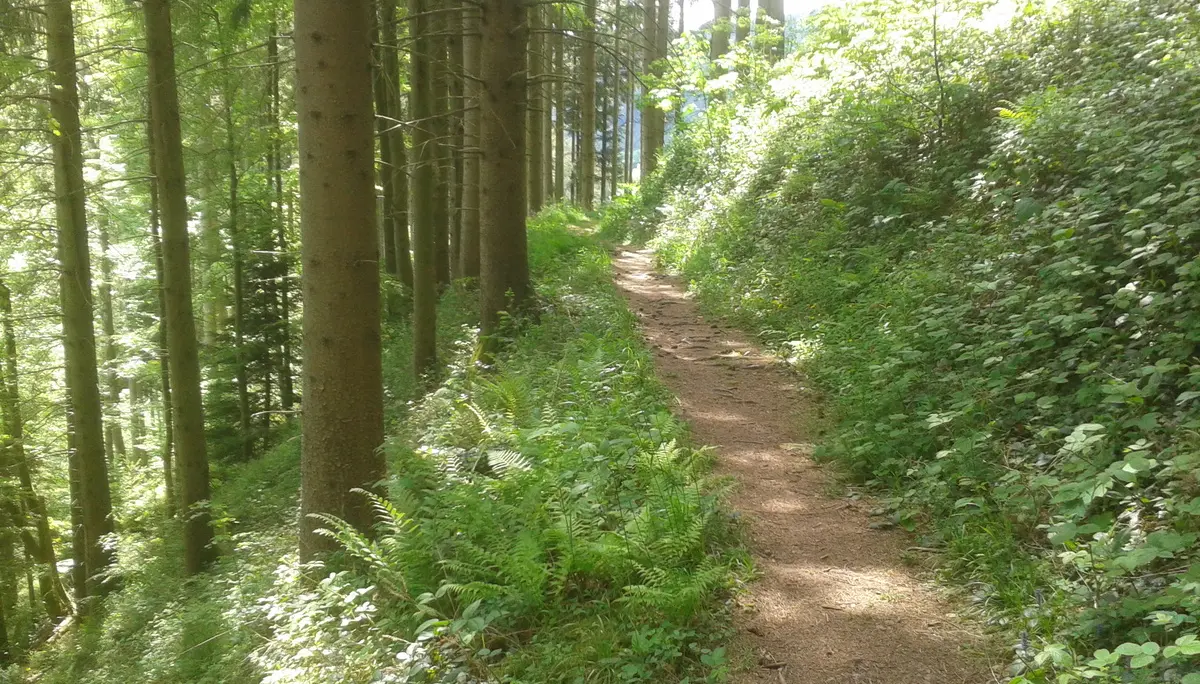 © BG Calw