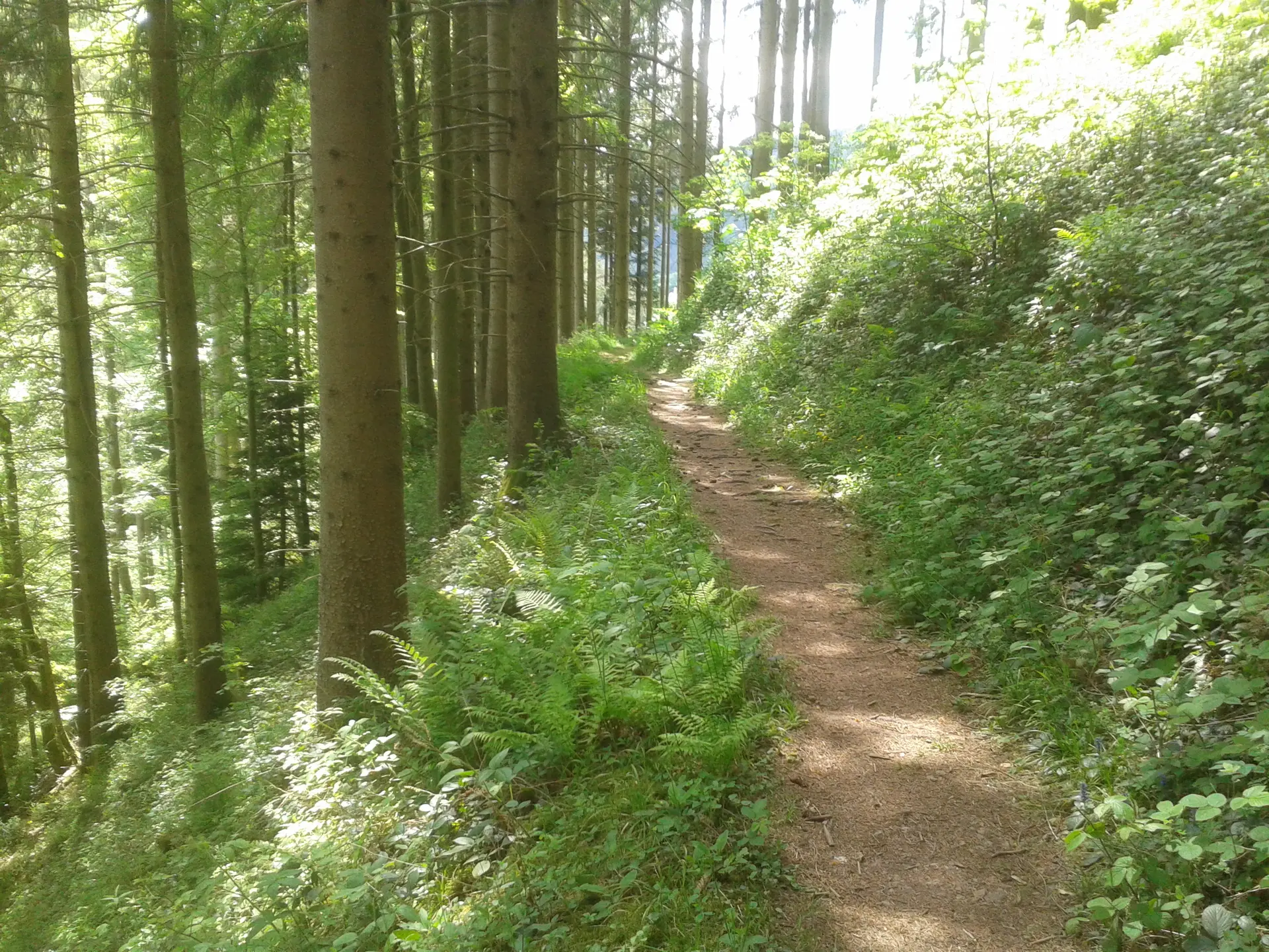 © BG Calw