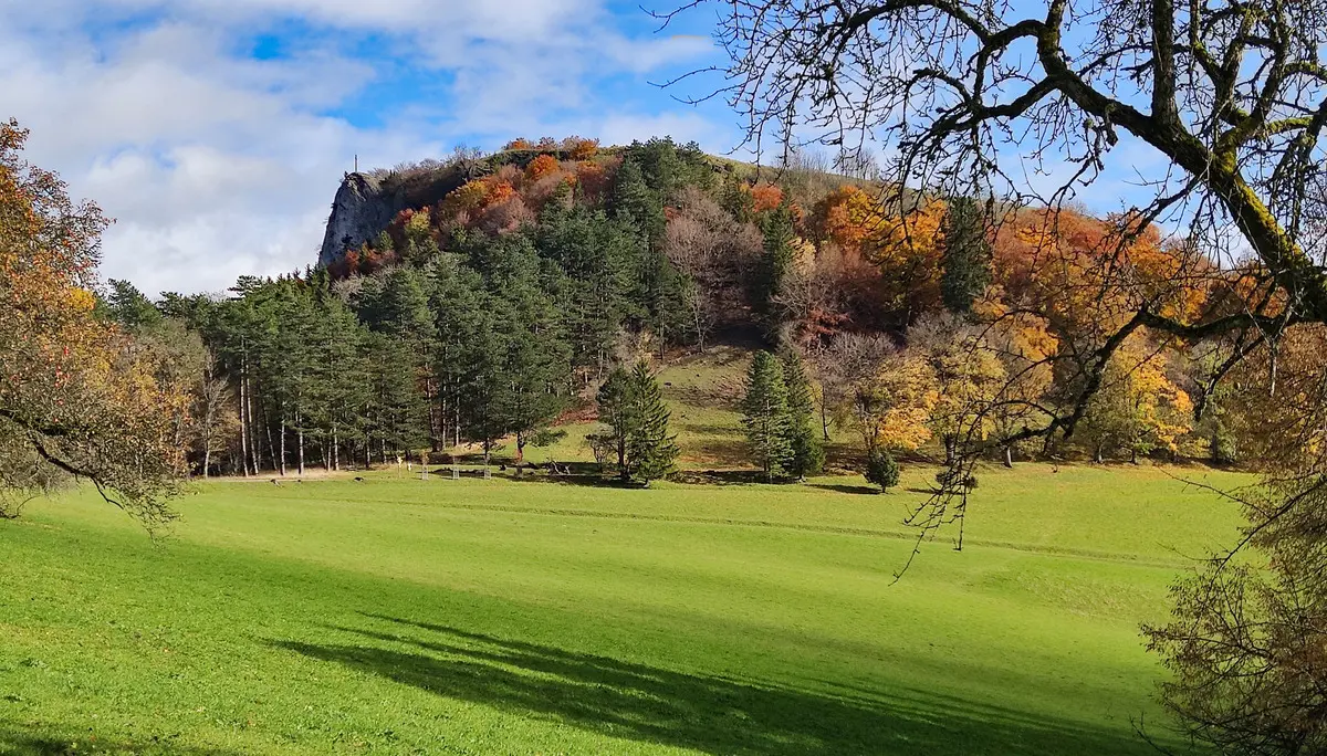 © BG Calw
