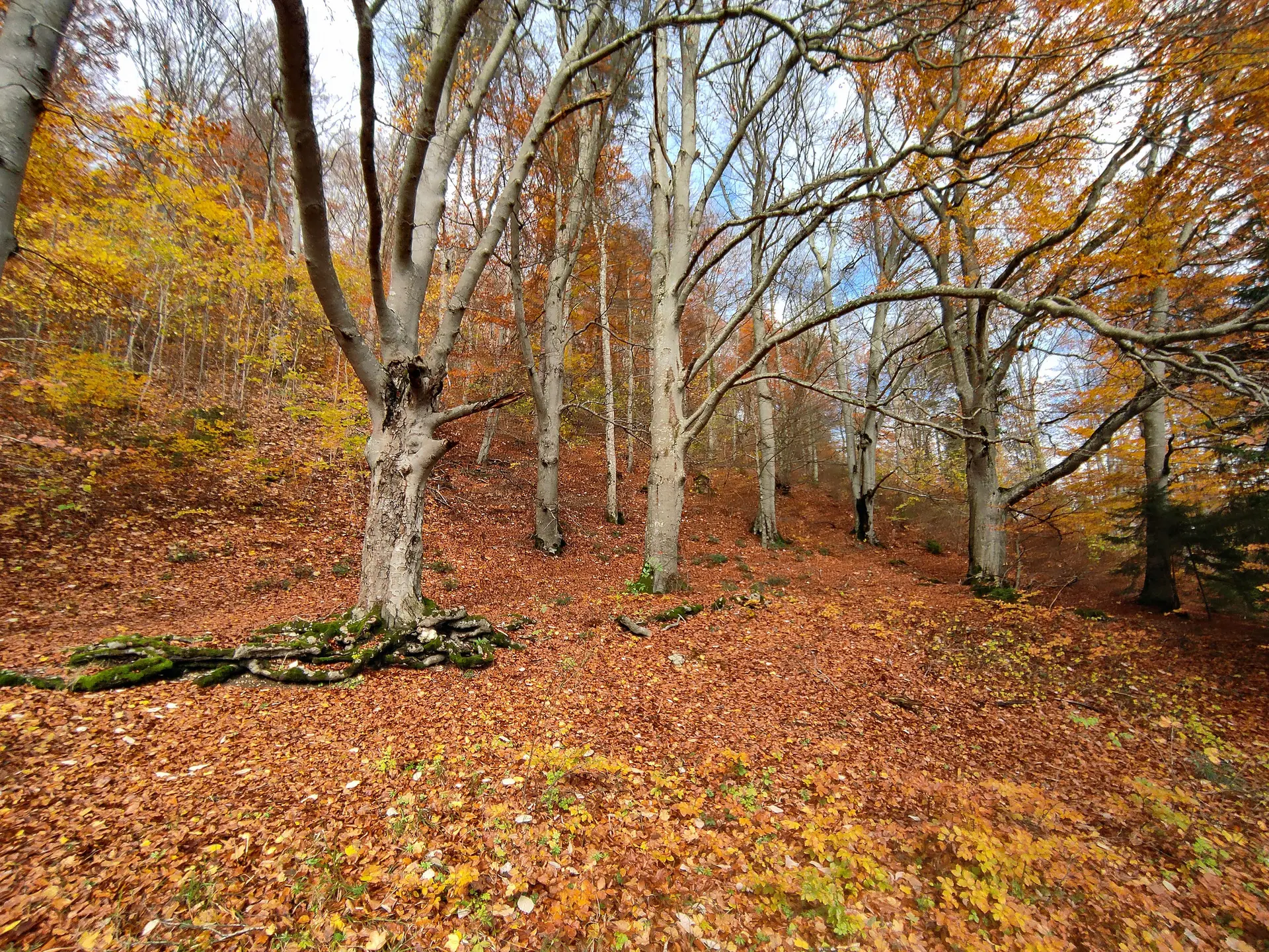 © BG Calw