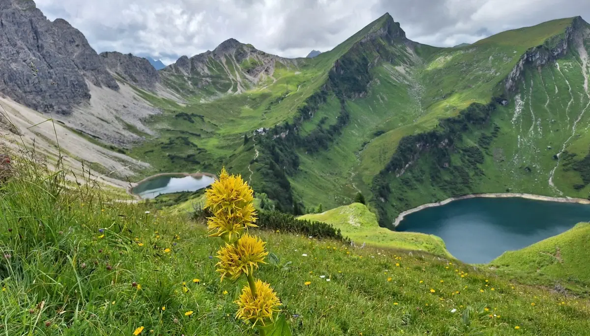 © BG Calw
