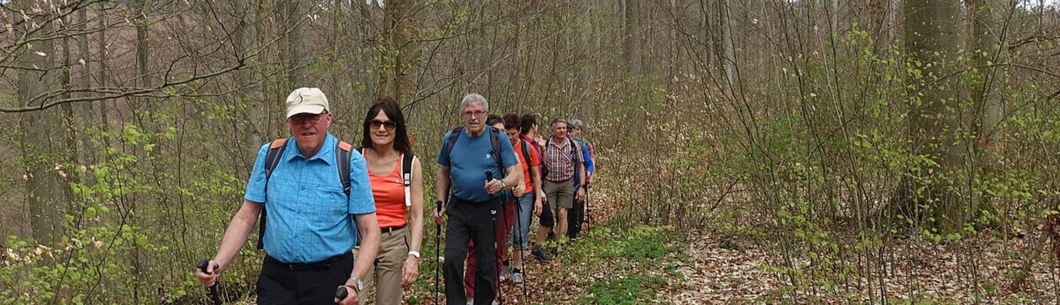 Durch lichte Buchenwälder | © DAV Sektion Schwaben, BG Ellwangen