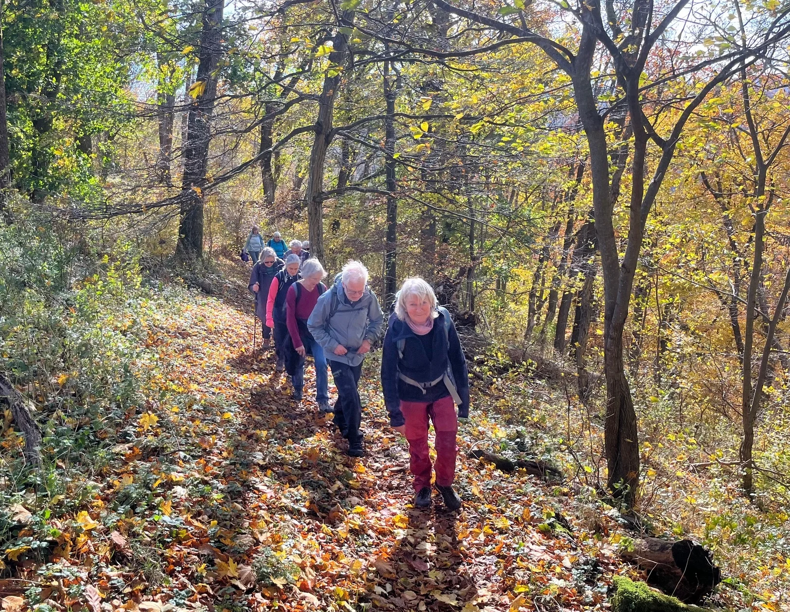 © Peter Dannenhauer