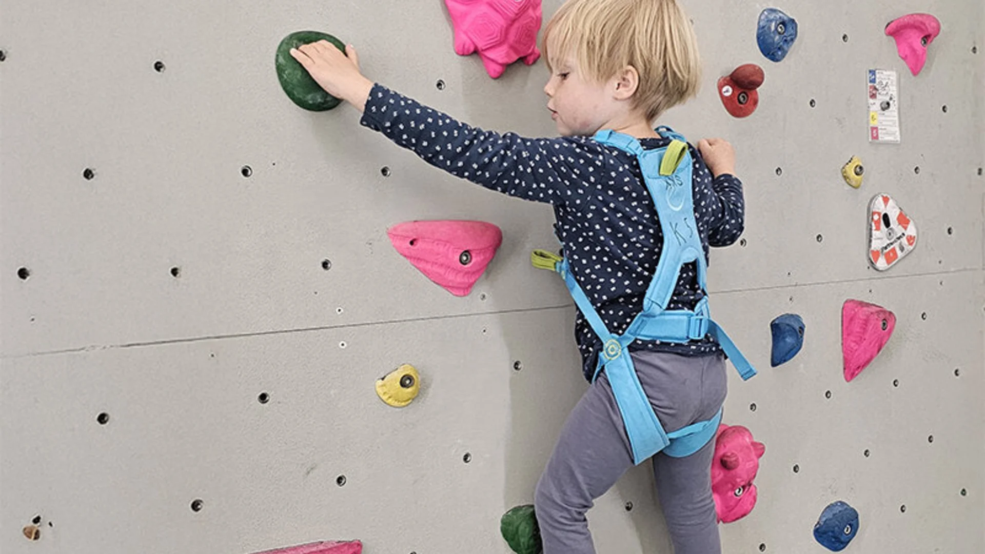 - | © Sonja Maxwell