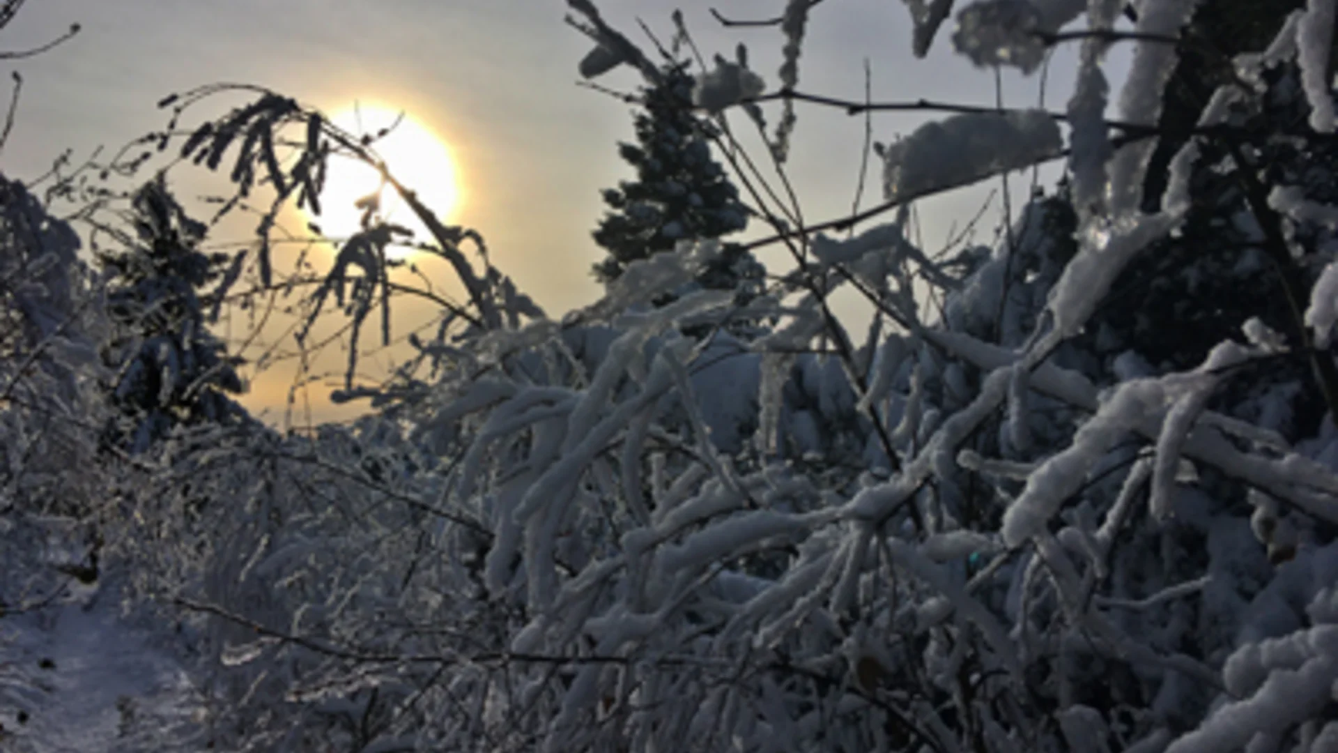 Schliffkopf | © Michael Bubeck