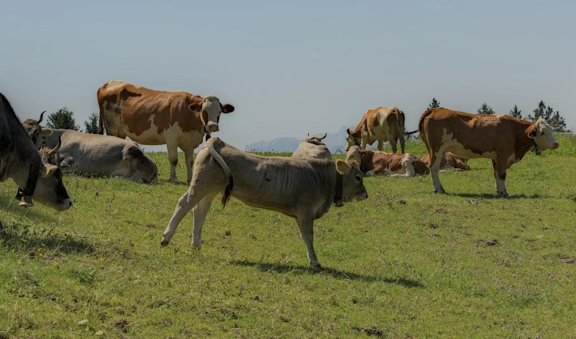 © DAV-Schwaben (Fotogruppe)