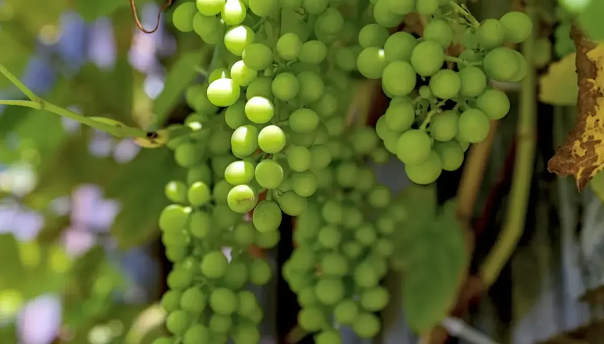 © DAV-Schwaben (Fotogruppe)