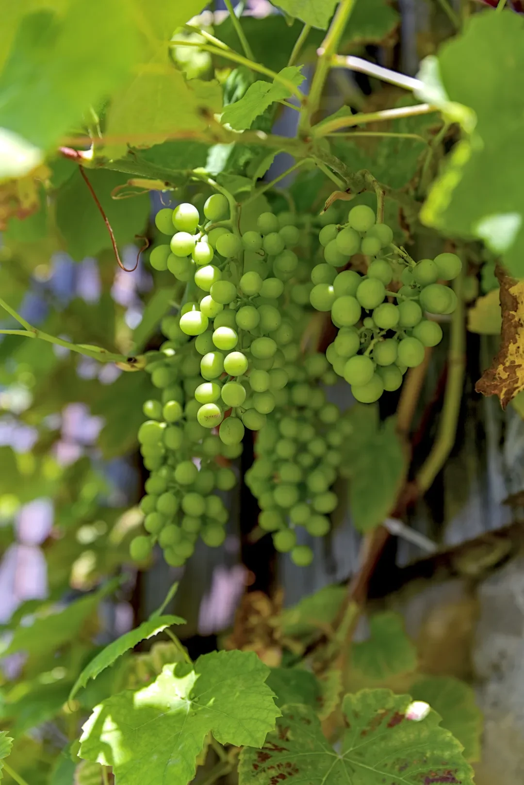 © DAV-Schwaben (Fotogruppe)