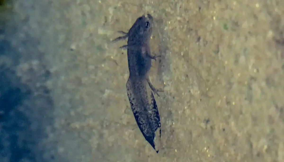 © DAV-Schwaben (Fotogruppe)