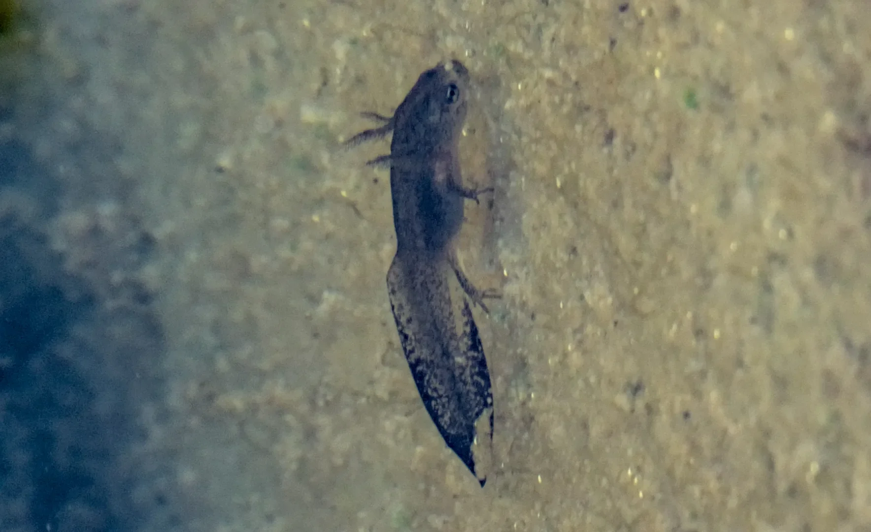 © DAV-Schwaben (Fotogruppe)