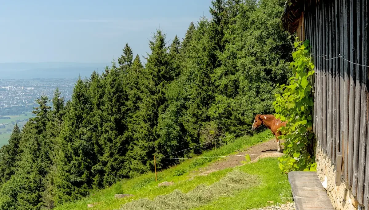 © DAV-Schwaben (Fotogruppe)