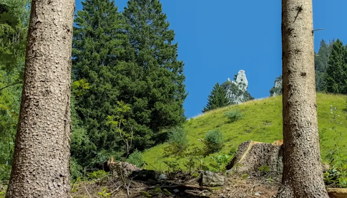 © DAV-Schwaben (Fotogruppe)