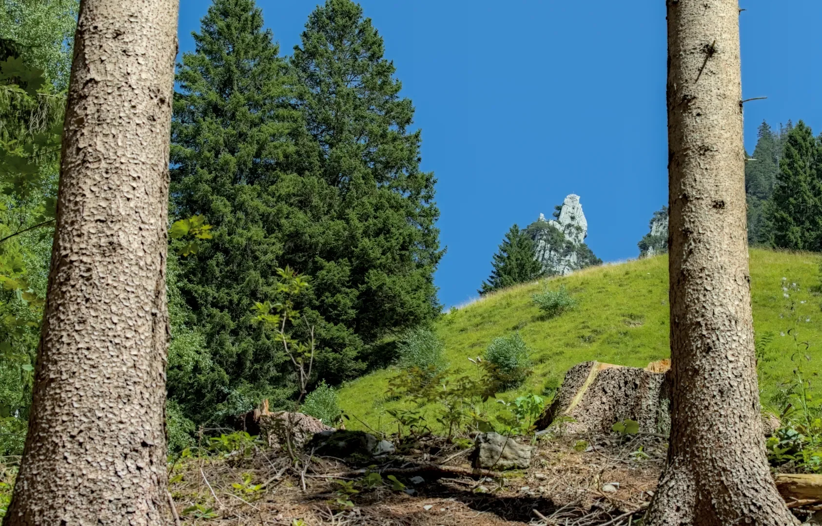 © DAV-Schwaben (Fotogruppe)