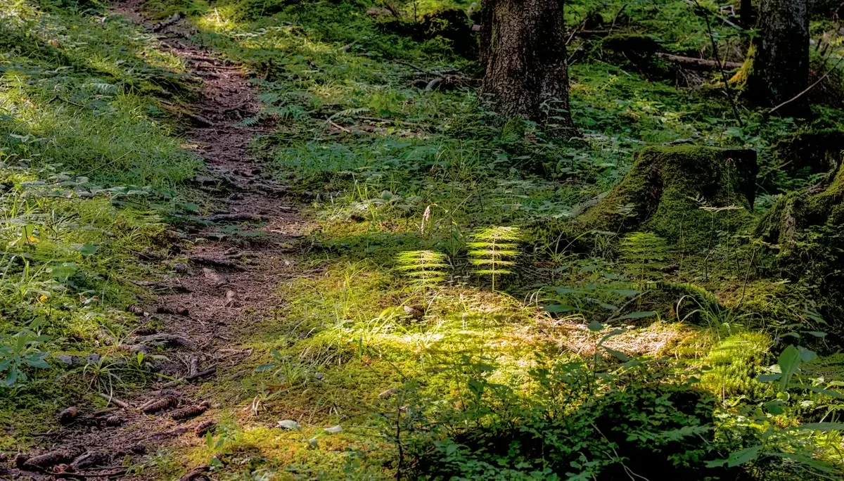 © DAV-Schwaben (Fotogruppe)