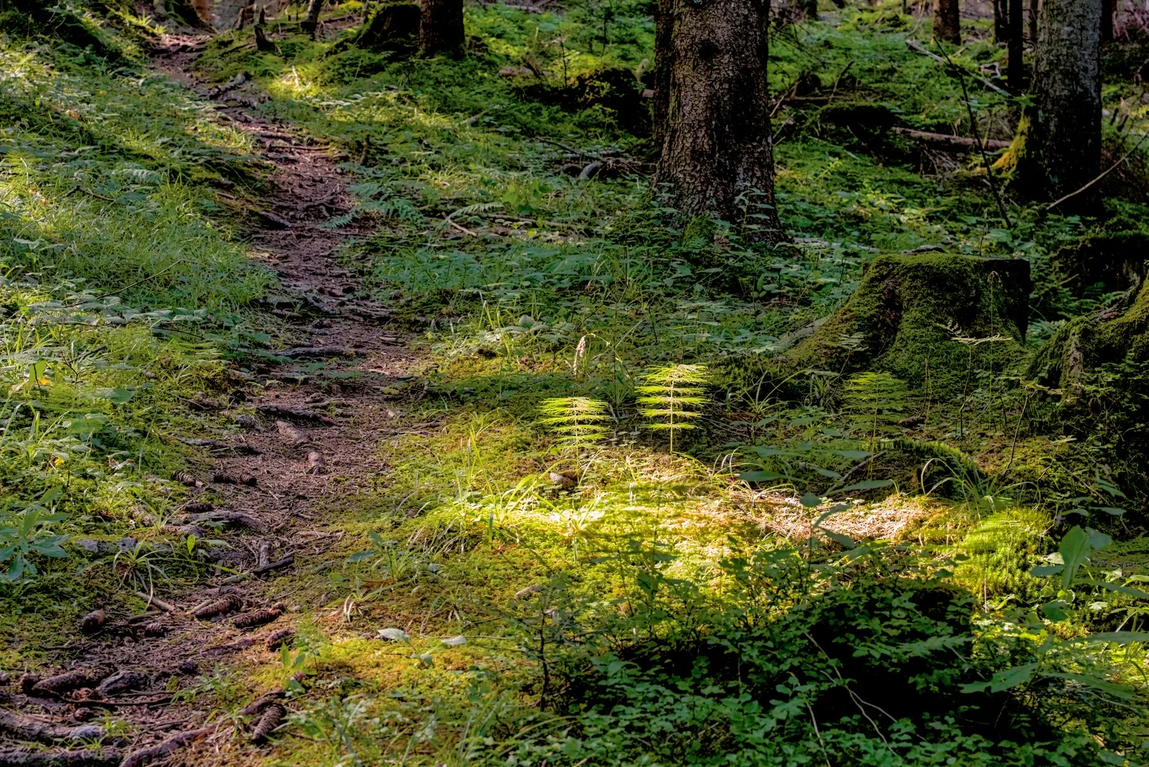 © DAV-Schwaben (Fotogruppe)