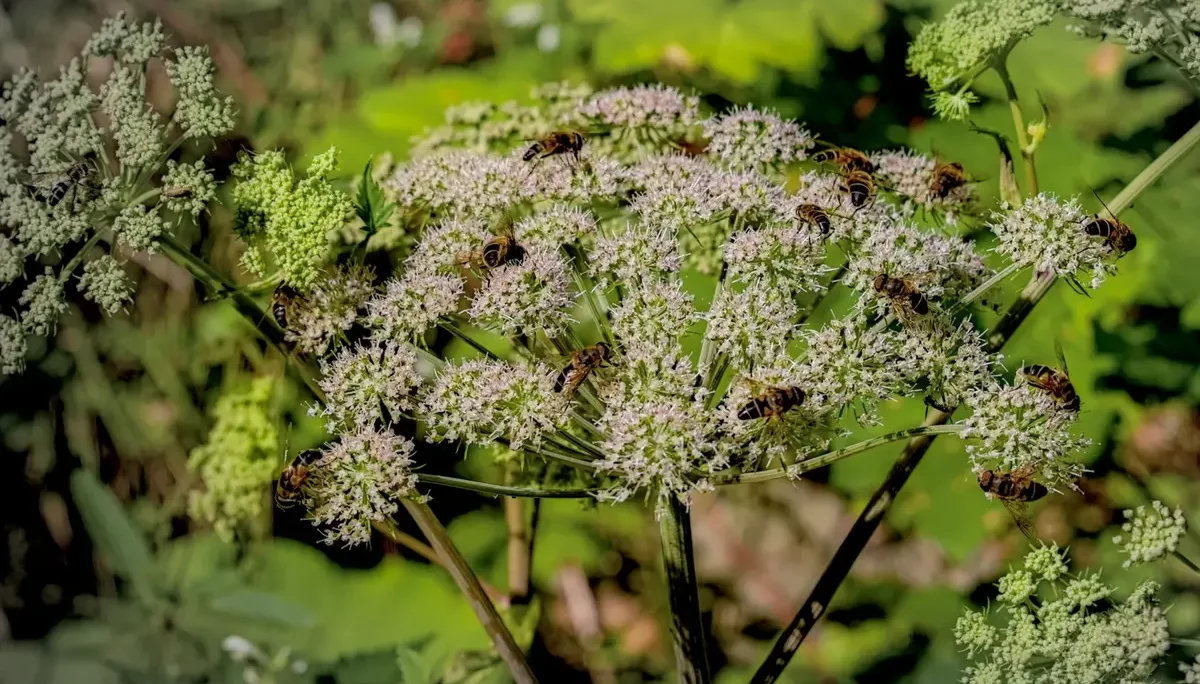 © DAV-Schwaben (Fotogruppe)