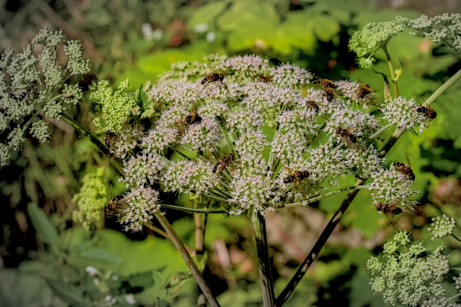 © DAV-Schwaben (Fotogruppe)
