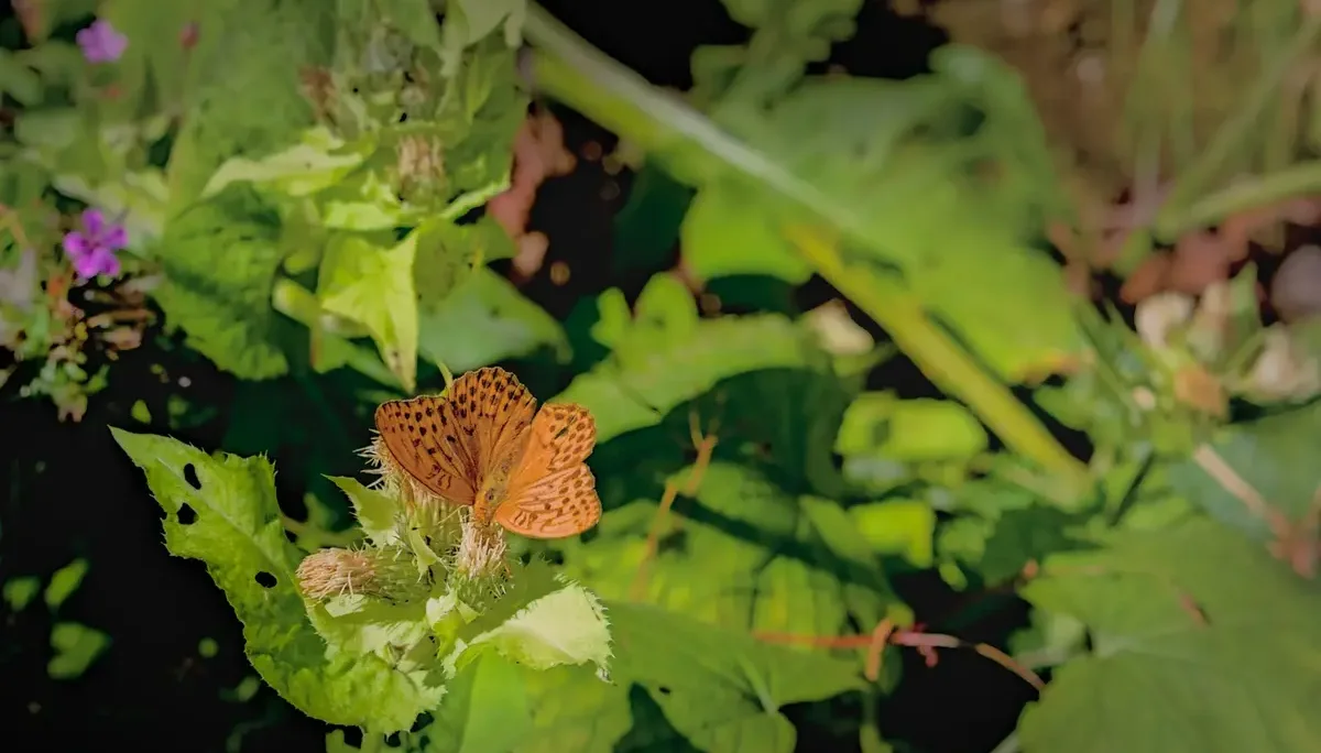 © DAV-Schwaben (Fotogruppe)