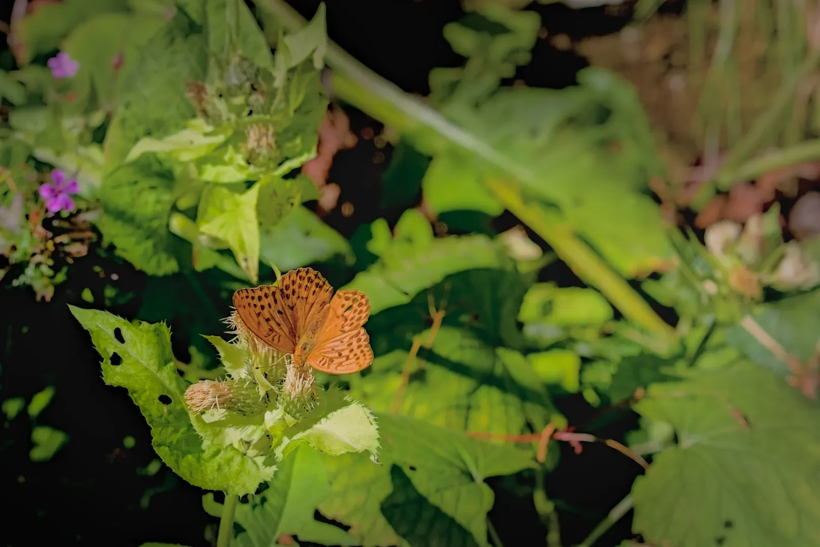 © DAV-Schwaben (Fotogruppe)