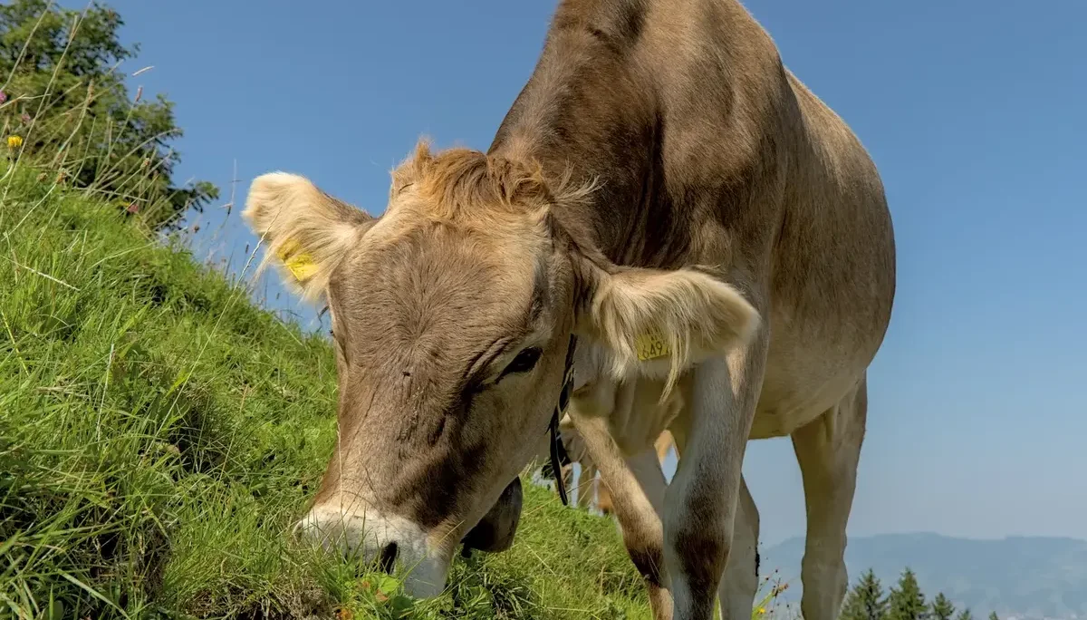 © DAV-Schwaben (Fotogruppe)