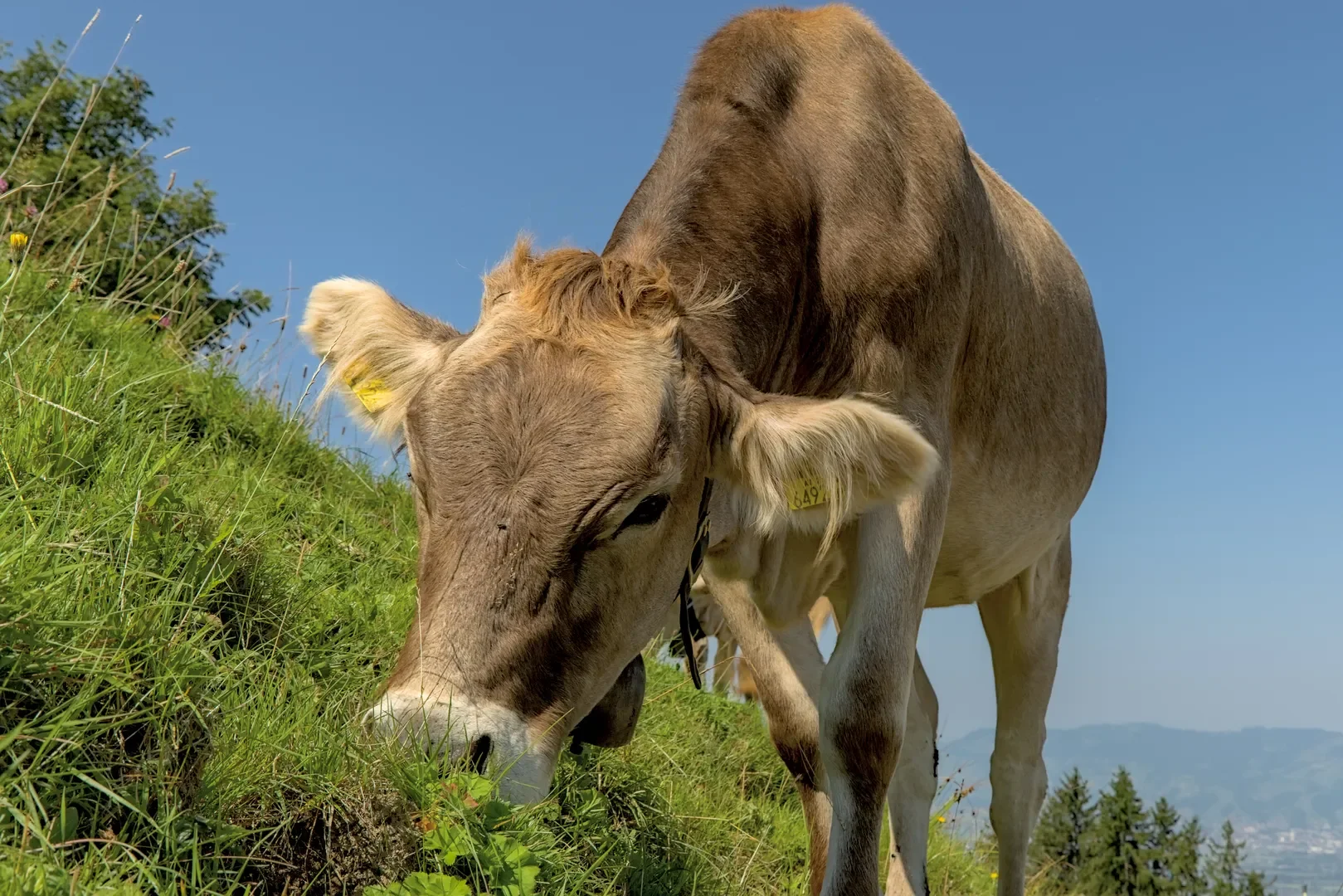 © DAV-Schwaben (Fotogruppe)