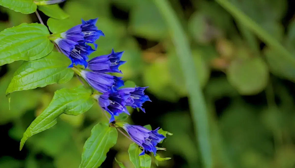 © DAV-Schwaben (Fotogruppe)