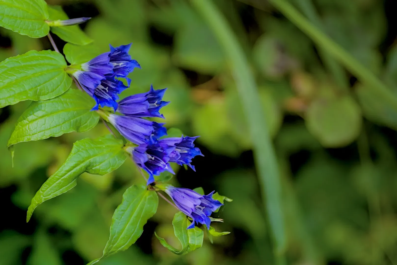 © DAV-Schwaben (Fotogruppe)