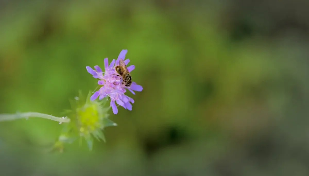 © DAV-Schwaben (Fotogruppe)