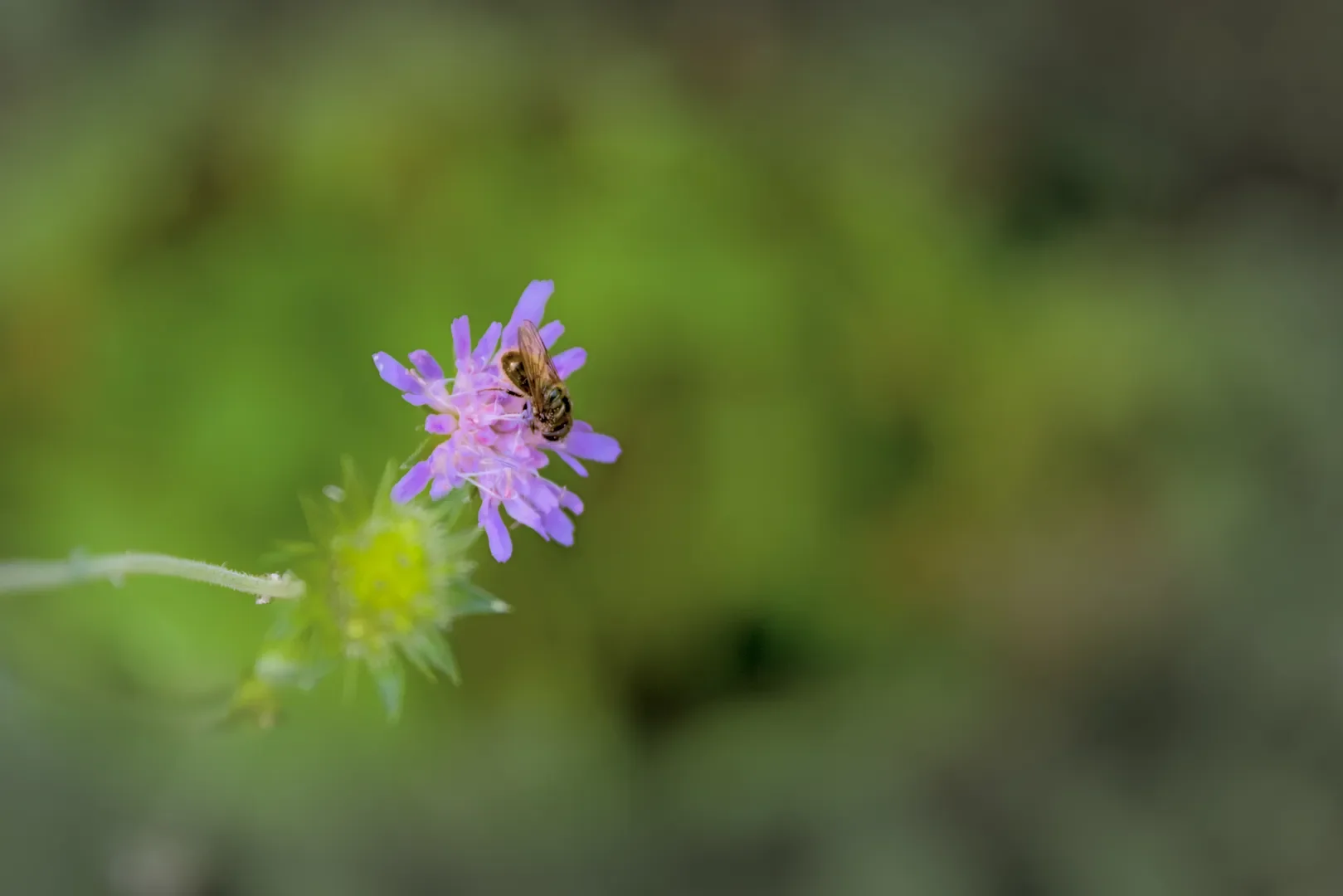 © DAV-Schwaben (Fotogruppe)