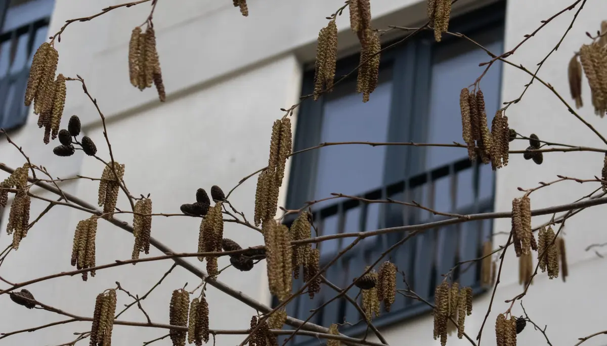 © DAV-Schwaben (Fotogruppe)