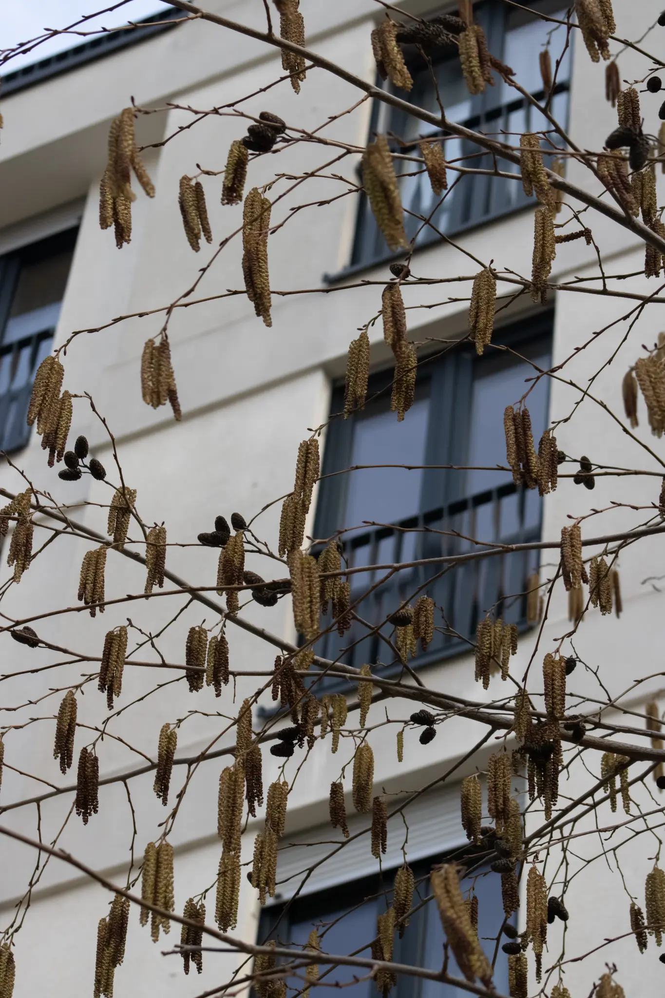 © DAV-Schwaben (Fotogruppe)