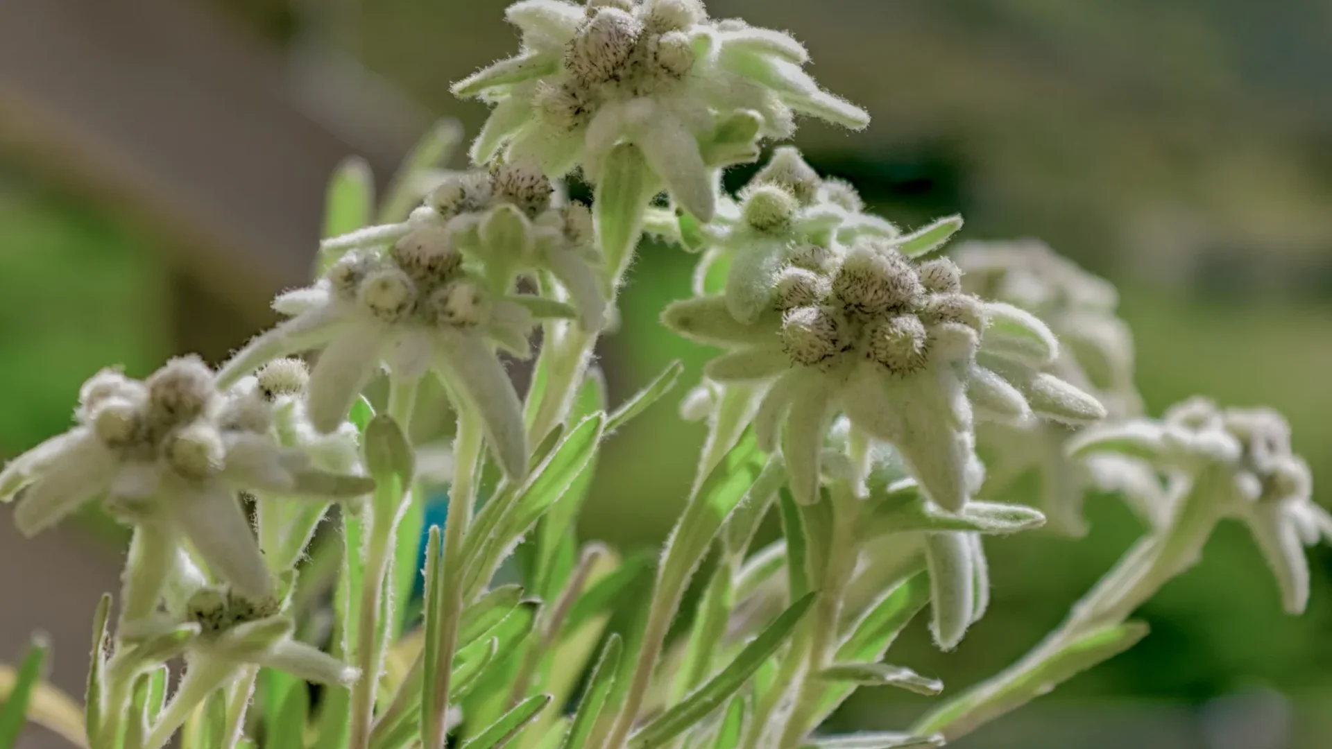 © DAV-Schwaben (Fotogruppe)