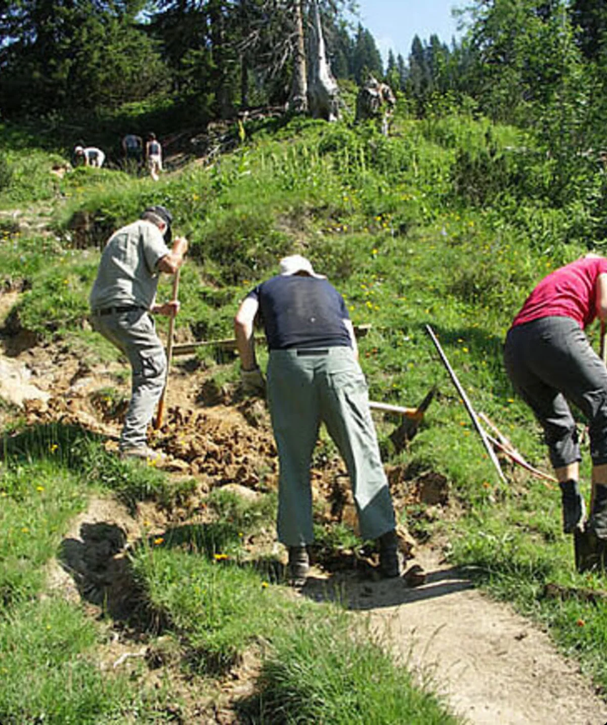 © DAV Sektion Schwaben, Gruppe Natur und Umwelt