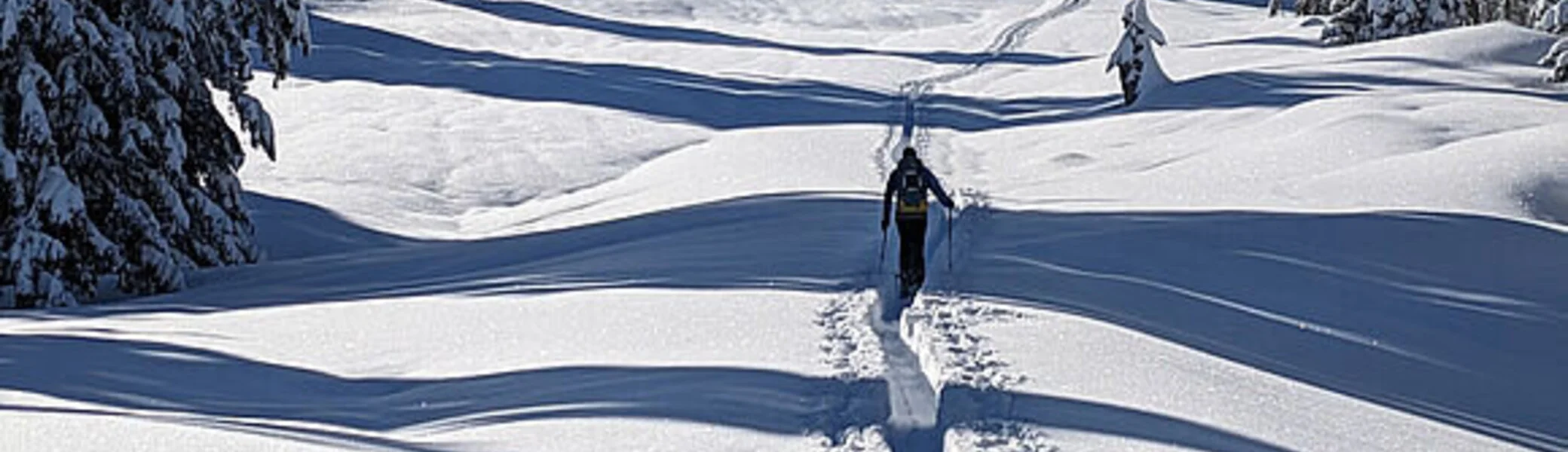 © DAV Sektion Schwaben, Tourengruppe