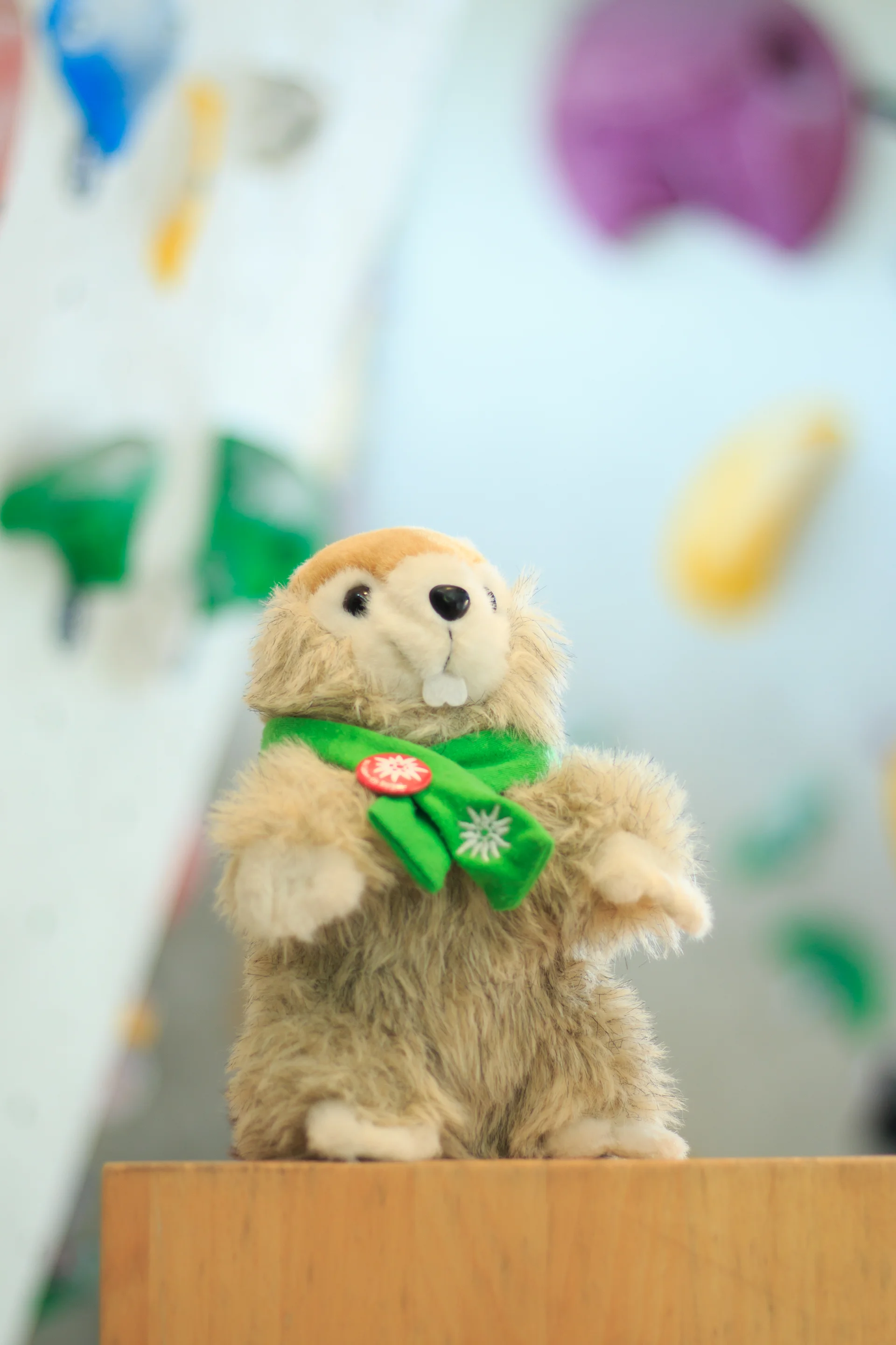 © JDAV Sektion Schwaben